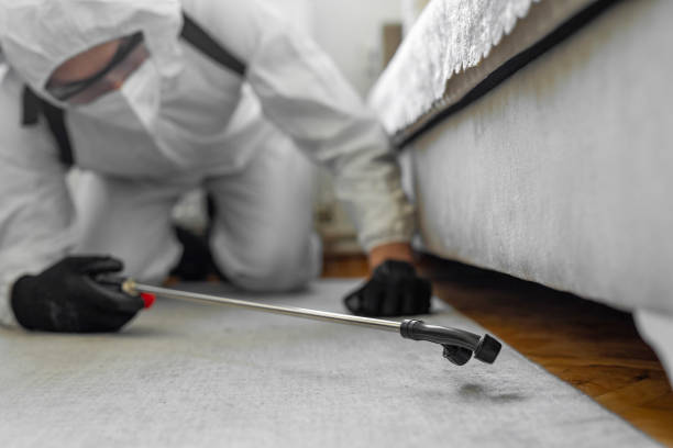 Professional Emergency Pest Control technician working in East Palatka, FL