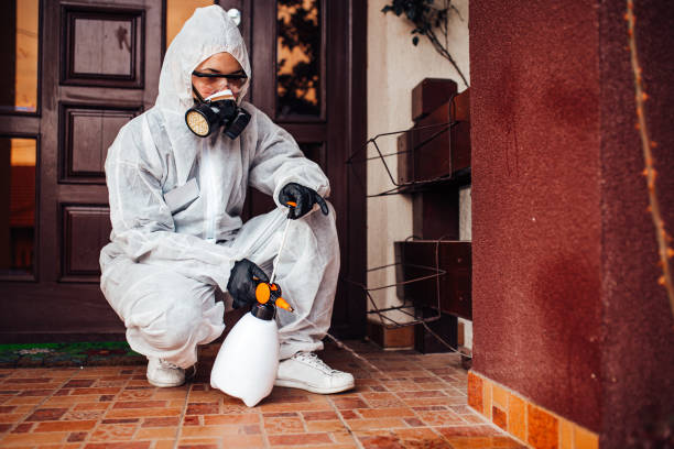 Reliable Emergency Pest Control contractor in East Palatka, FL by Nex Pest Control