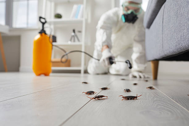 Trusted Termite Control service in East Palatka, FL - Nex Pest Control